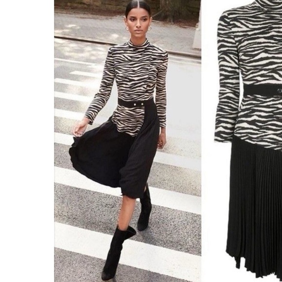 A.L.C. Dresses & Skirts - A.L.C. Zebra Print pleated Dress. S